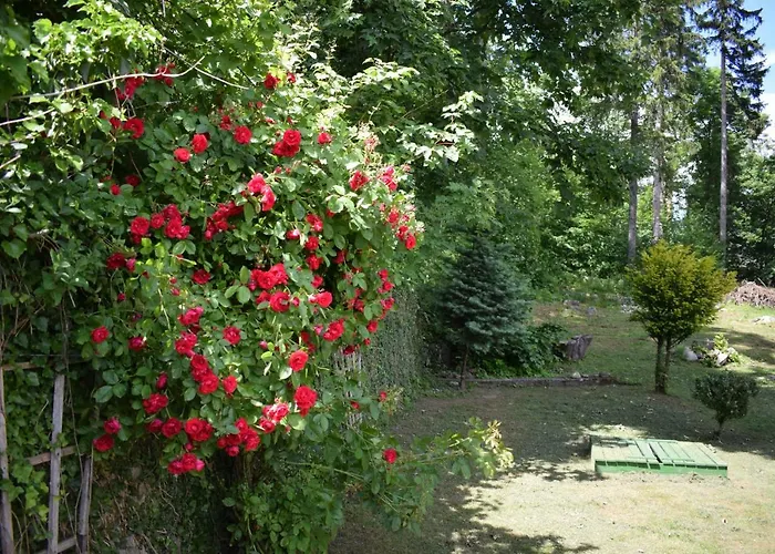 Zacisze Appartement *